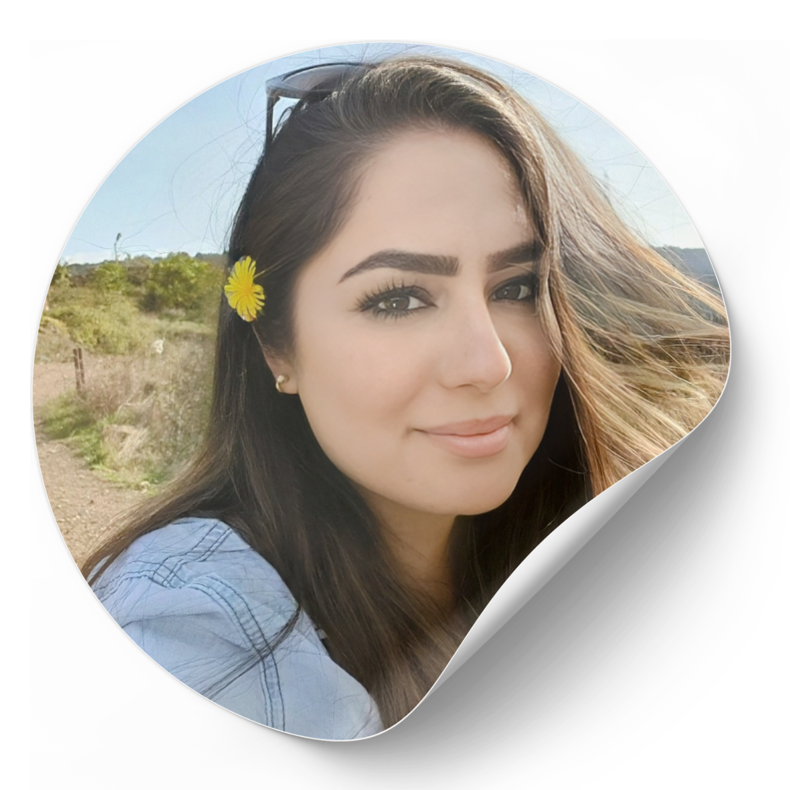 Social Moha